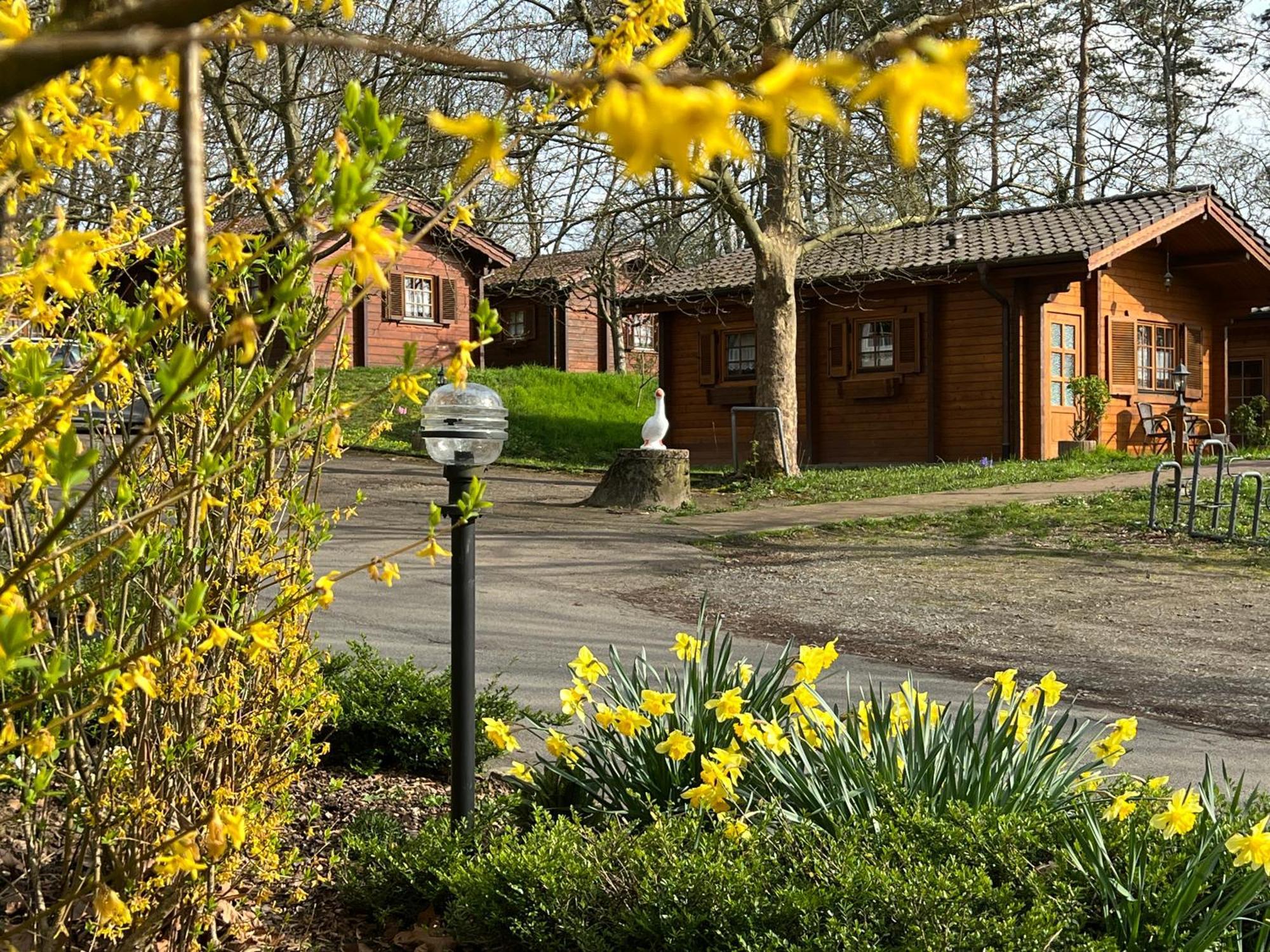 Landgasthof Gaensberg Вислох Экстерьер фото